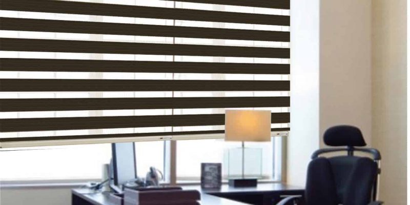 Snoerloze Zebra Schaduw